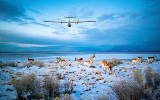 Drone untuk Pet Monitoring: Masa Depan Pengawasan Hewan di Lahan Luas