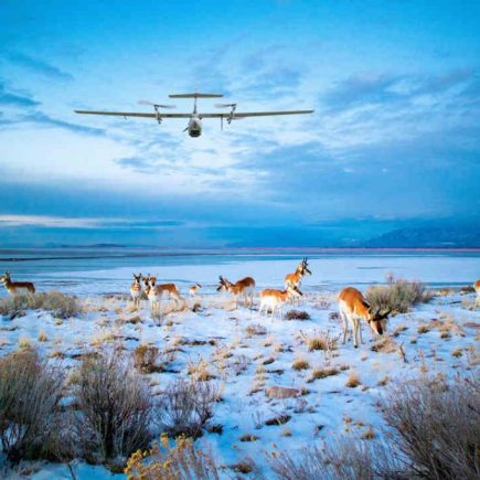 Drone untuk Pet Monitoring: Masa Depan Pengawasan Hewan di Lahan Luas