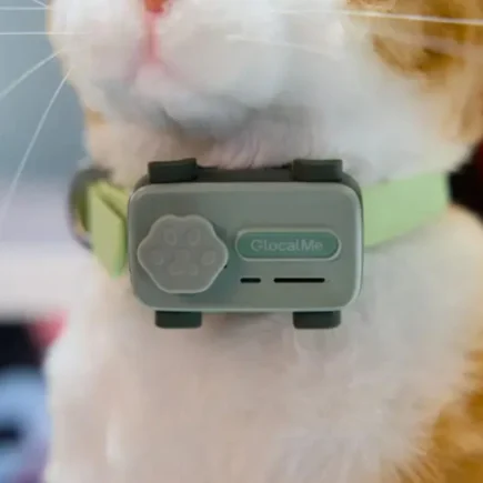 Smart Pet Ecosystem: Teknologi IoT untuk Kesejahteraan Hewan Peliharaan