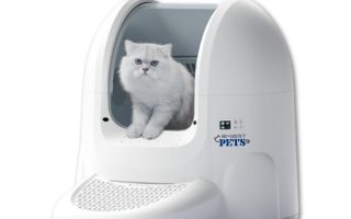 Ternyata Bukan Lapar: Mengapa Pemilik Kucing di Jakarta Kaget Saat Pakai Kalung 'Smart-Meow' Terbaru?