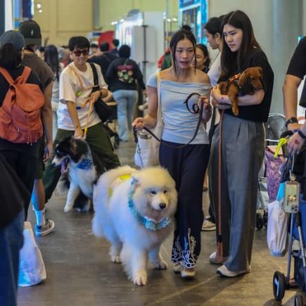 Tren Hewan Peliharaan 2026: Mengapa Adopsi “Eco-Pet” dan Gadget Pintar Jadi Standar Baru Pemilik Anabul di Jakarta?