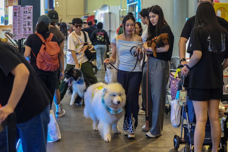 Tren Hewan Peliharaan 2026: Mengapa Adopsi “Eco-Pet” dan Gadget Pintar Jadi Standar Baru Pemilik Anabul di Jakarta?